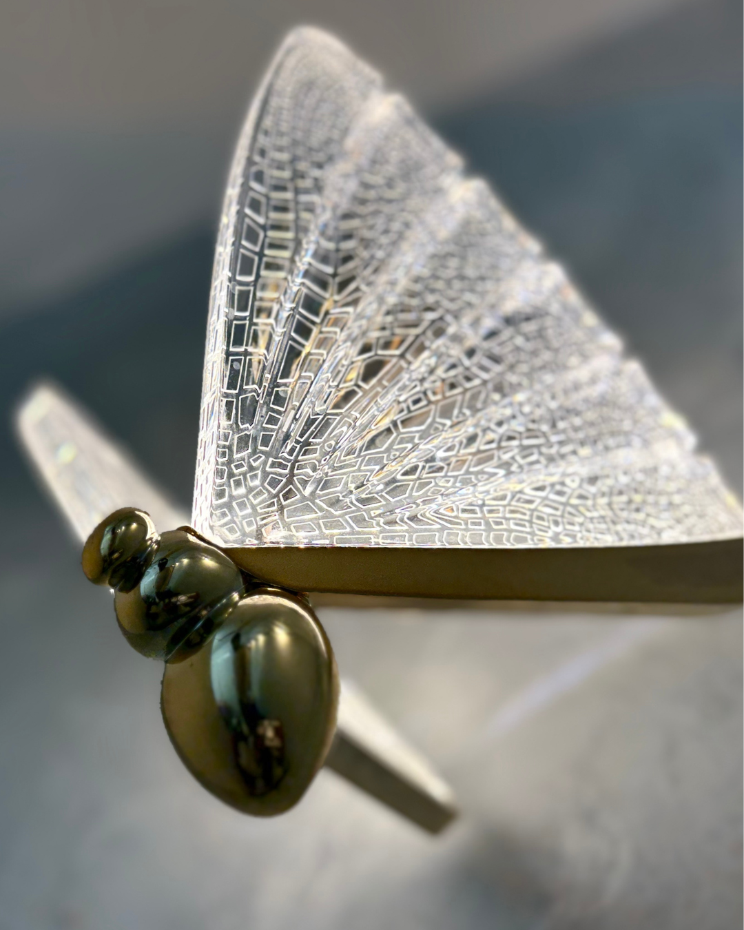 Acrylic Butterfly Wall Light